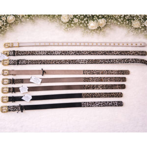 Ceinture fine élégante